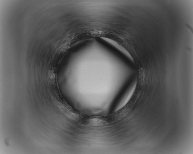 X0000099970614200806061631