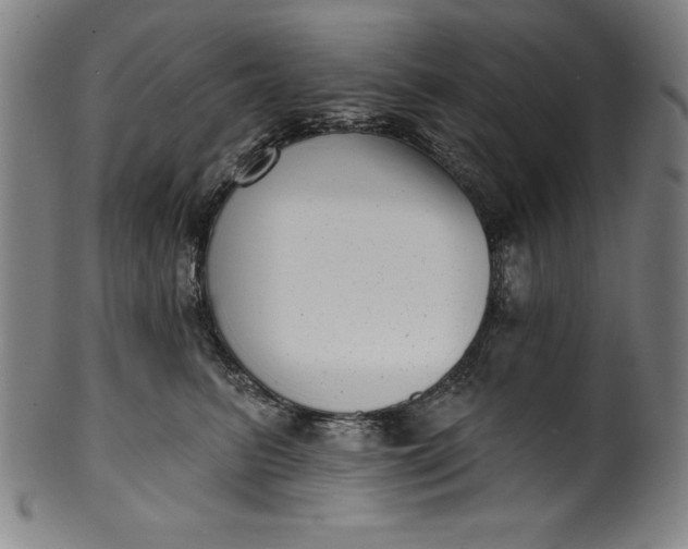 X0000099970615200806061631