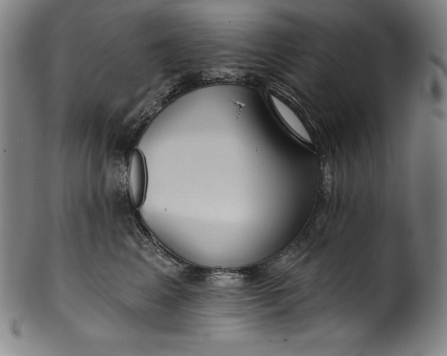 X0000099970617200806061631