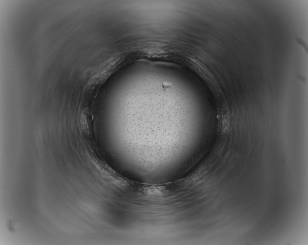 X0000099970618200806061631