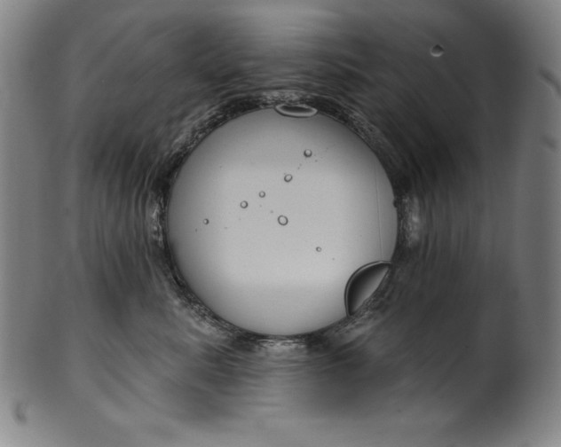 X0000099970619200806061631