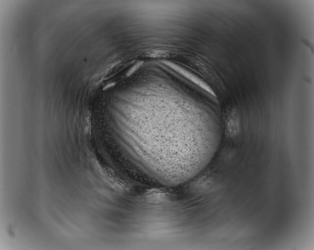 X0000099970620200806061631