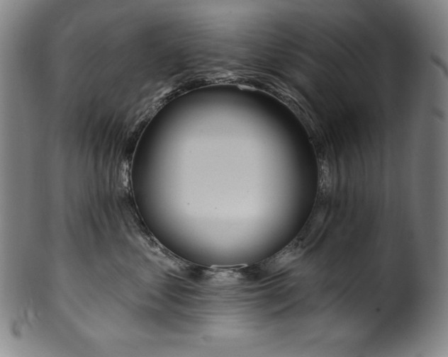 X0000099970621200806061631