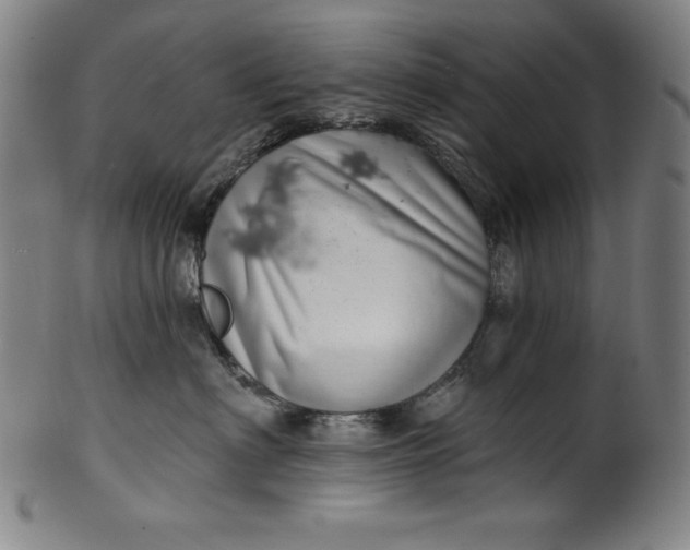 X0000099970622200806061631