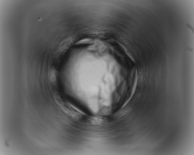 X0000099970623200806061631