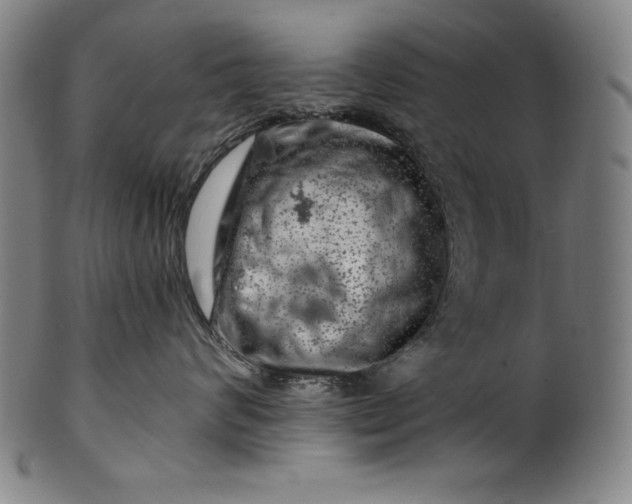 X0000099970624200806061631