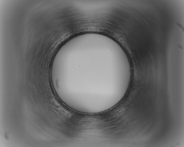 X0000099970625200806061630