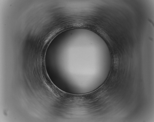 X0000099970626200806061630