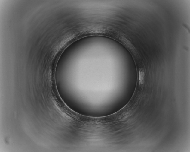 X0000099970627200806061630