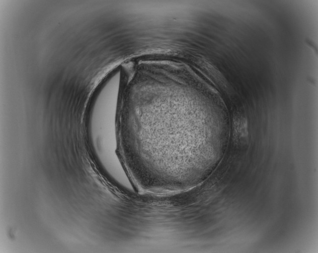 X0000099970628200806061630