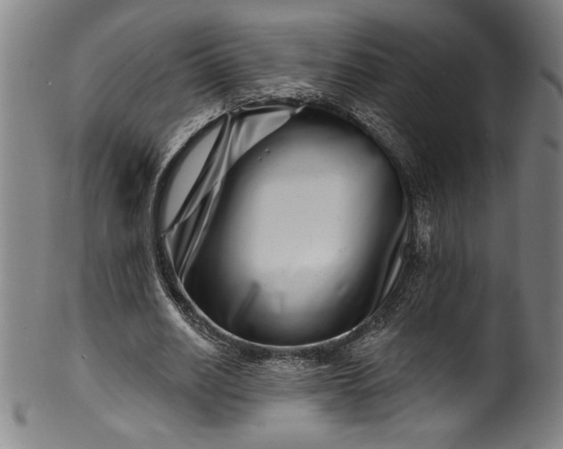 X0000099970630200806061631