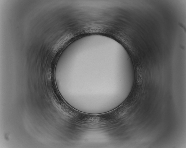 X0000099970631200806061631