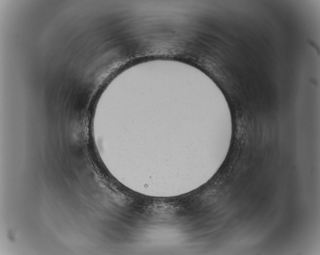 X0000099970632200806061631