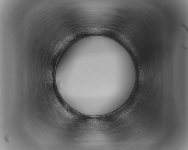 X0000099970633200806061631