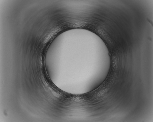 X0000099970634200806061631