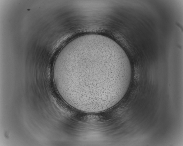 X0000099970636200806061631