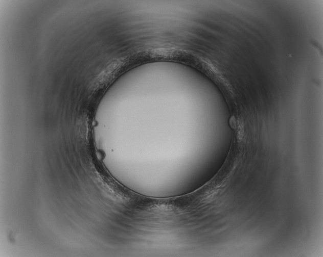 X0000099970637200806061631