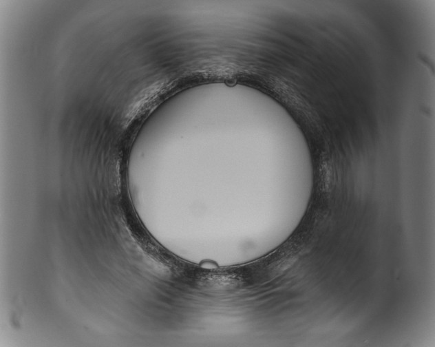 X0000099970638200806061631