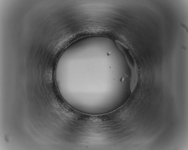 X0000099970640200806061631