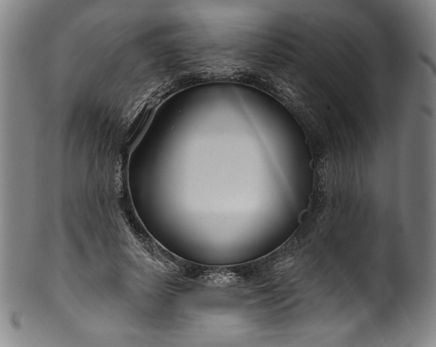 X0000099970642200806061631