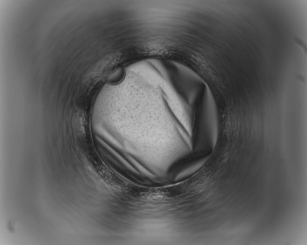 X0000099970643200806061631