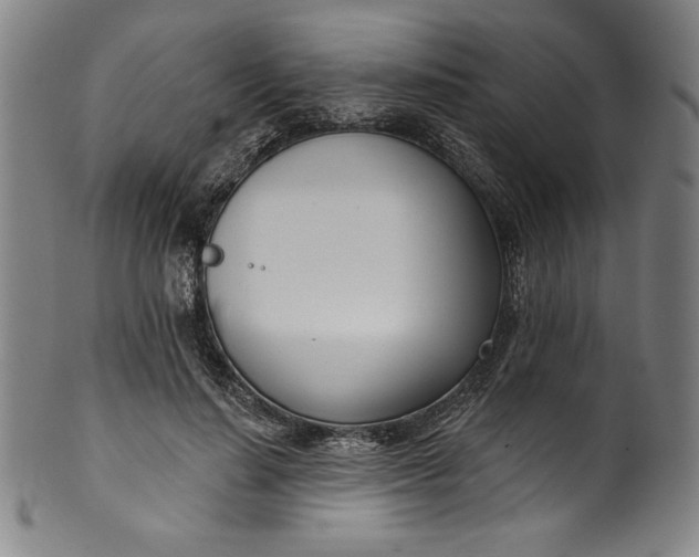 X0000099970644200806061631