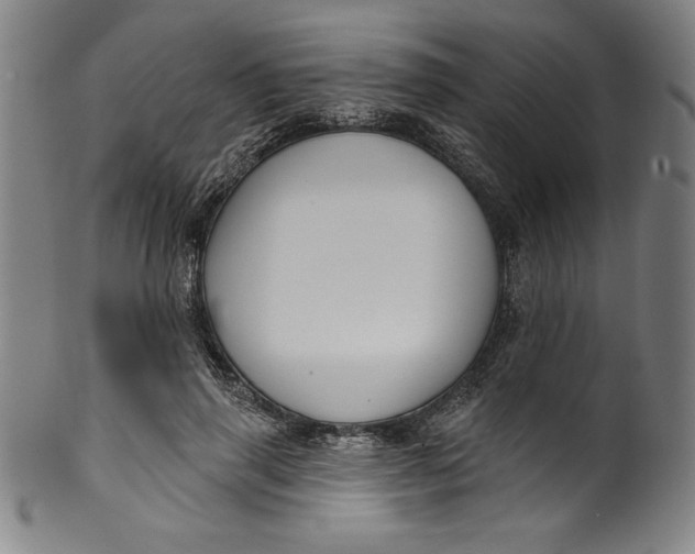 X0000099970645200806061631