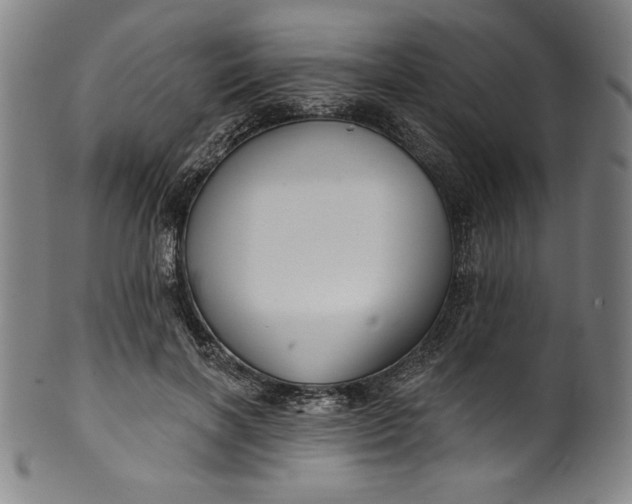 X0000099970646200806061631