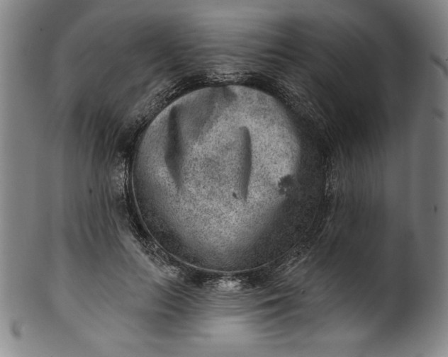 X0000099970647200806061631