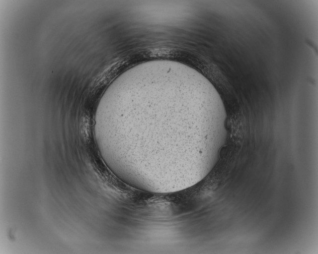 X0000099970648200806061631