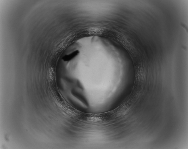 X0000099970649200806061631