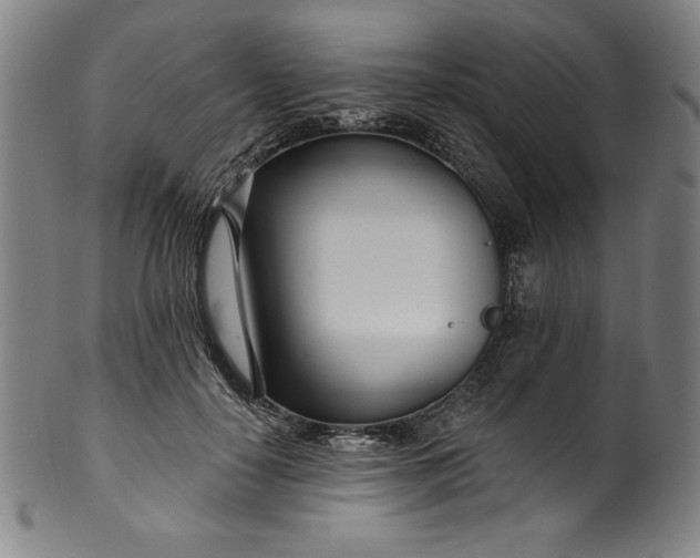 X0000099970650200806061631