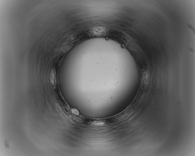 X0000099970651200806061631