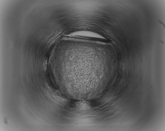 X0000099970652200806061631