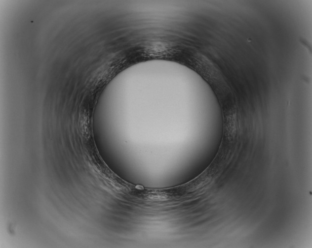 X0000099970653200806061631