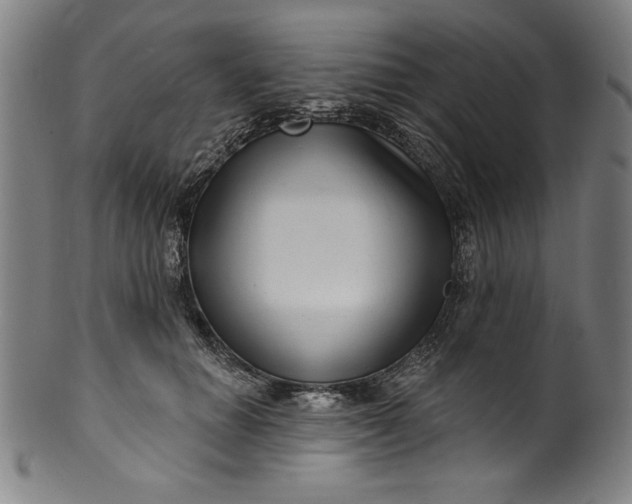 X0000099970654200806061631