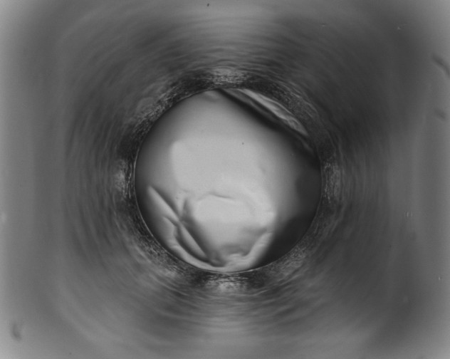 X0000099970655200806061631