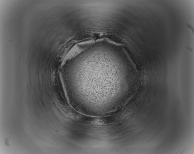 X0000099970656200806061631