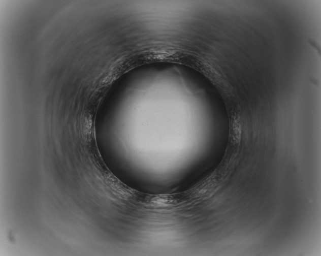 X0000099970657200806061631