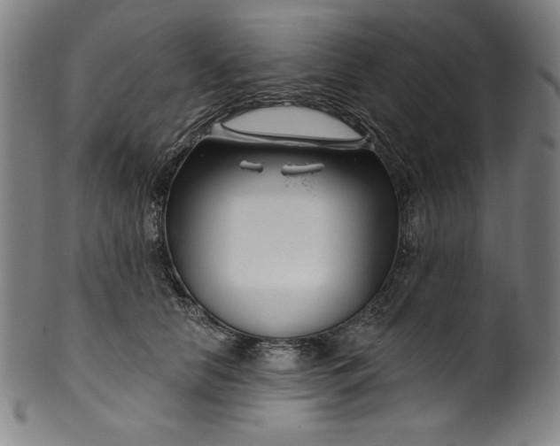 X0000099970658200806061631