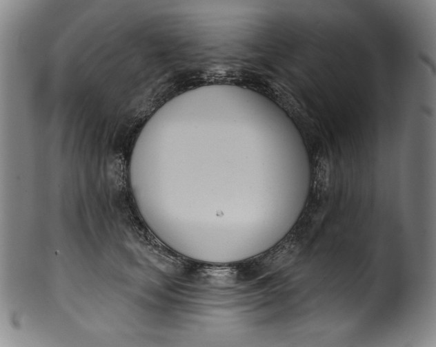 X0000099970659200806061631