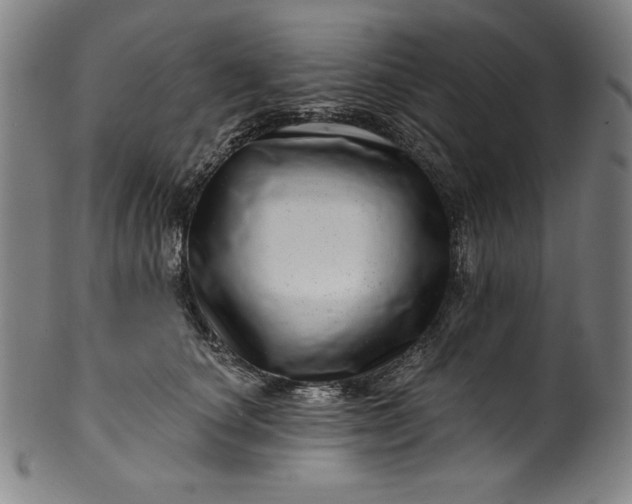 X0000099970660200806061631