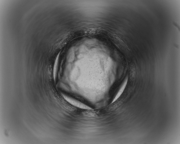 X0000099970661200806061631