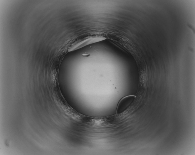 X0000099970662200806061631