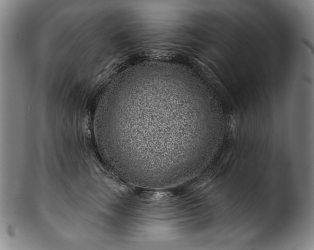 X0000099970663200806061631