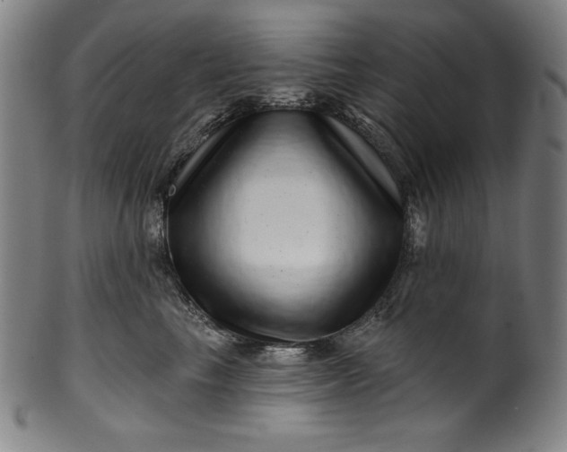 X0000099970665200806061631