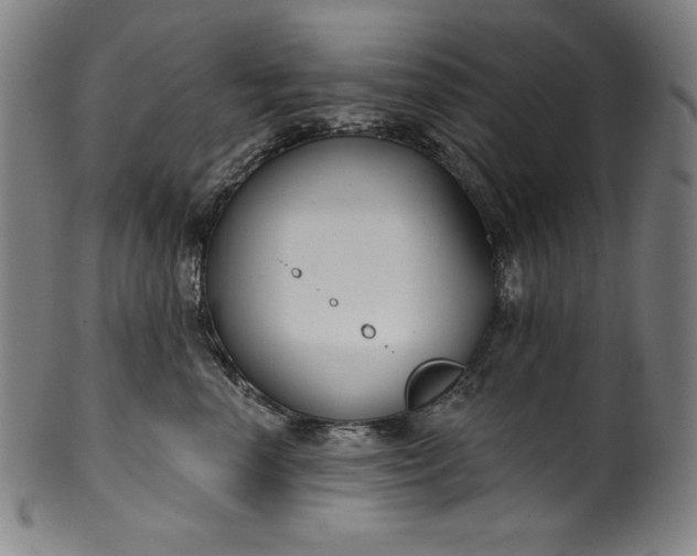 X0000099970666200806061631