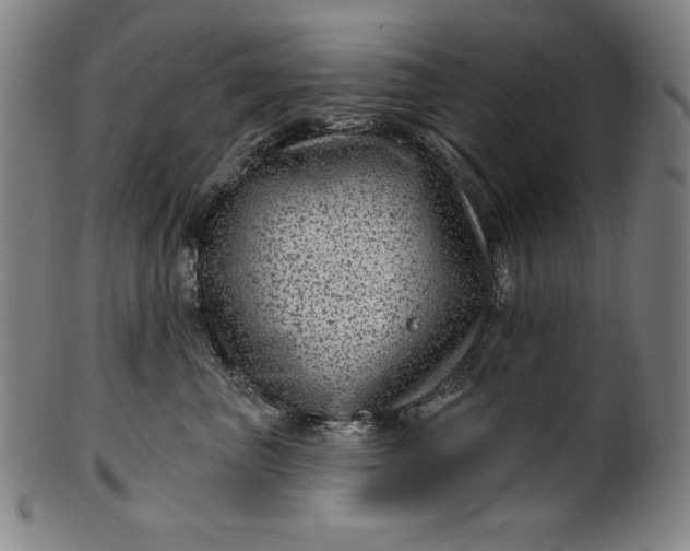 X0000099970667200806061631