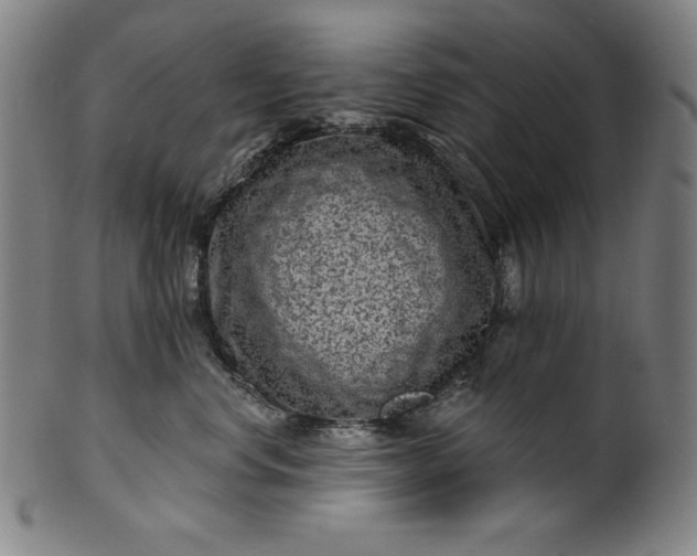 X0000099970668200806061631