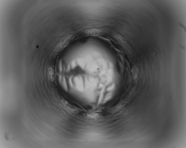 X0000099970669200806061631